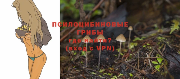 круглые Белокуриха