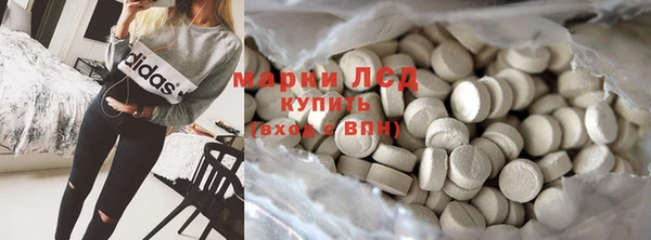 шишки Беломорск