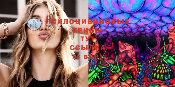 шишки Беломорск