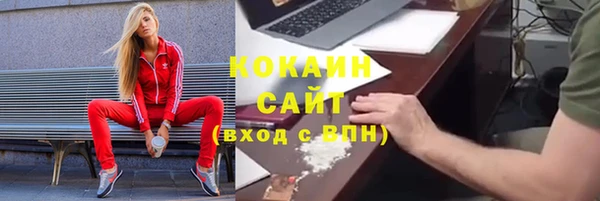 шишки Беломорск