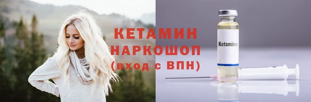 шишки Беломорск
