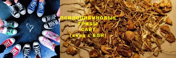 круглые Белокуриха