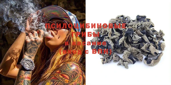 круглые Белокуриха