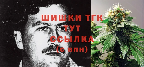 круглые Белокуриха