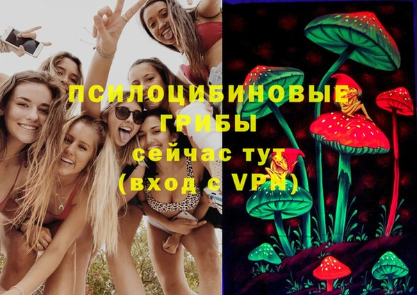 шишки Беломорск