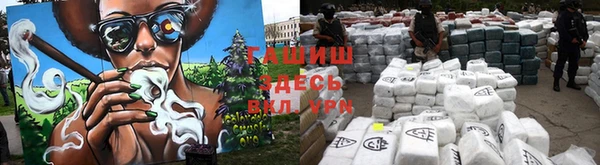 шишки Беломорск
