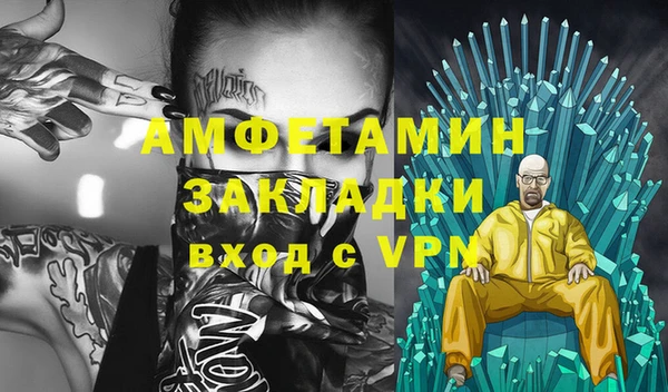 шишки Беломорск