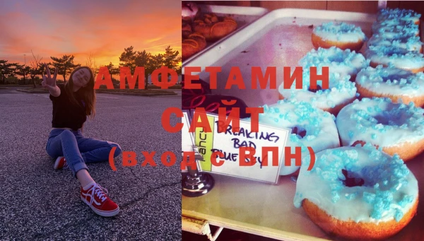 шишки Беломорск