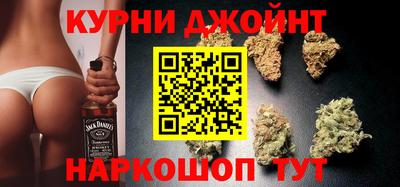 jwh Гатчина