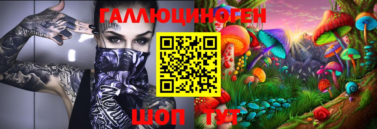 Галлюциногенные грибы Cubensis Валуйки