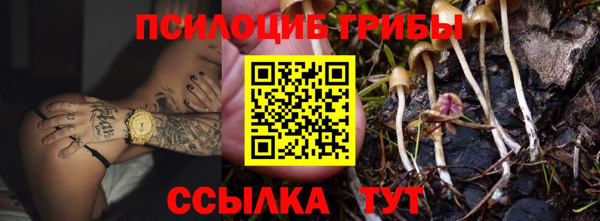 Валуйки  Галлюциногенные грибы Psilocybine cubensis  Вход с VPN 